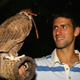 Illustration for article titled Deprived Of His Poodle, Serial Animal-Lover Novak Djokovic Seeks Companionship From Squirrel